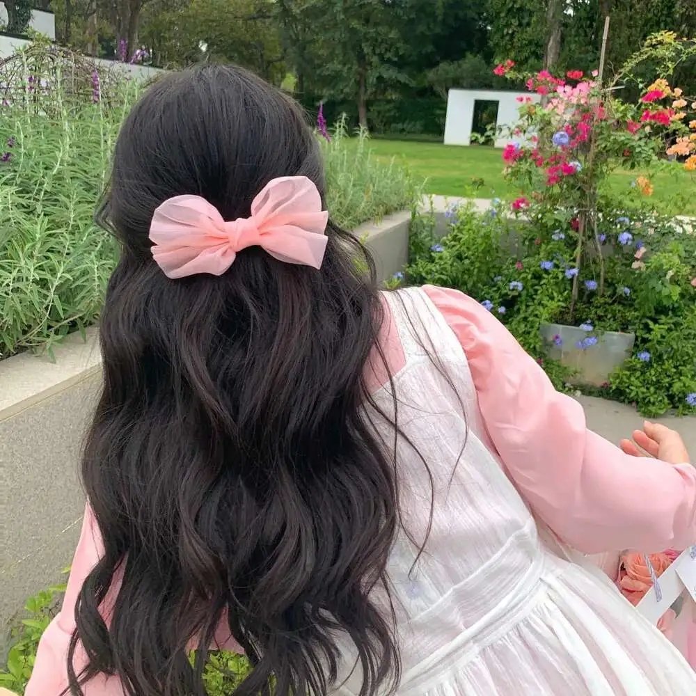 新九品芝麻官2024